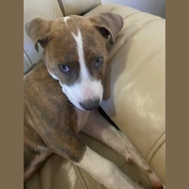 Photo of Molly