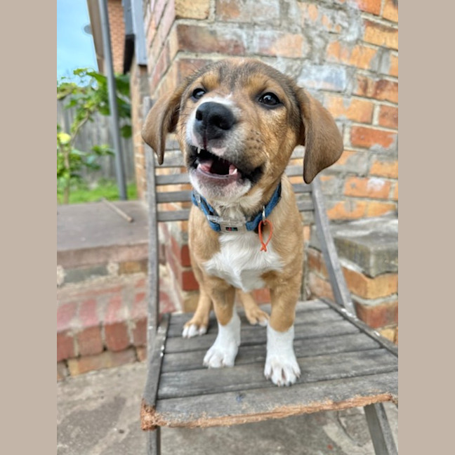 Photo of Fry
