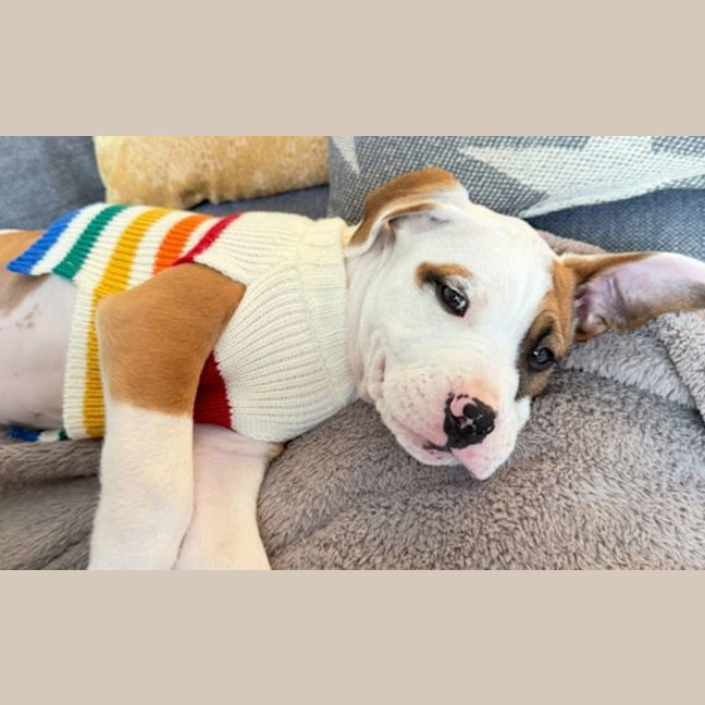 Photo of Benny
