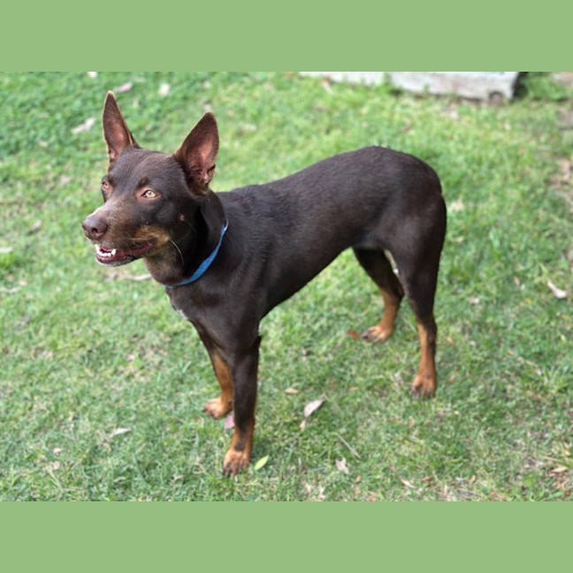 Photo of Billie Jean