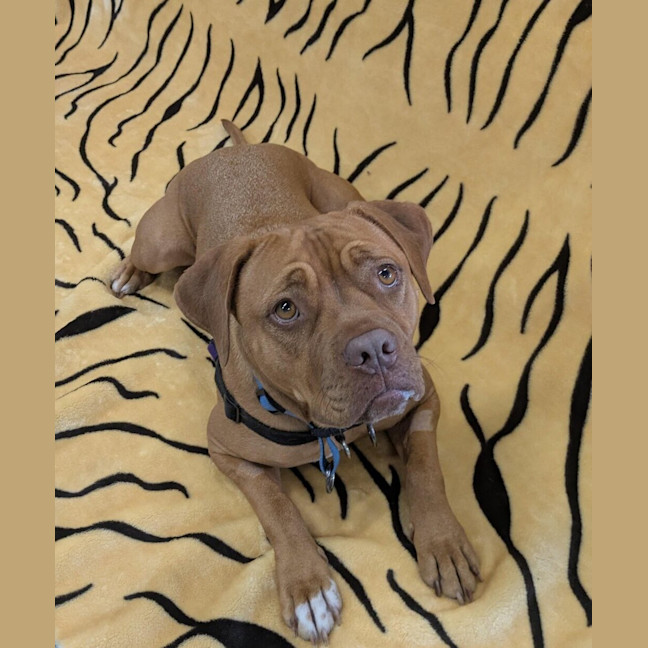 Photo of Abbie