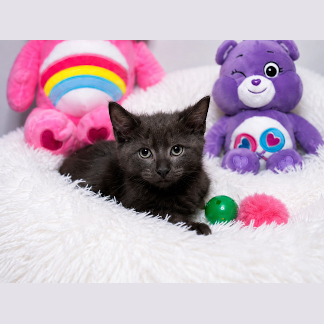 Photo of Kiara