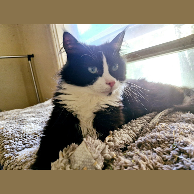 Photo of Betsy