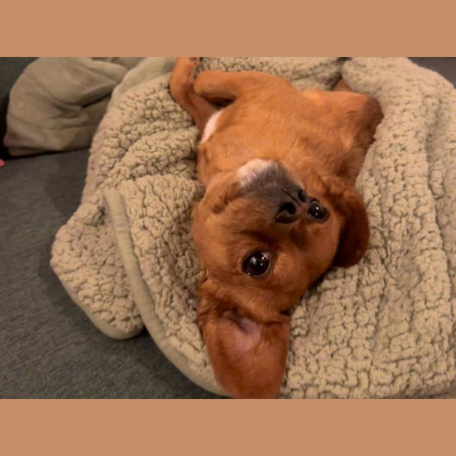 Photo of Toby Quinnell