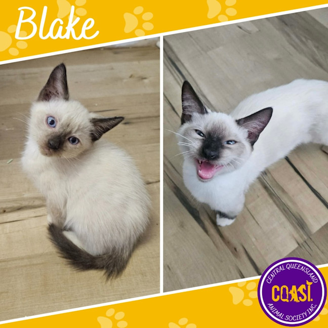 Photo of Blake