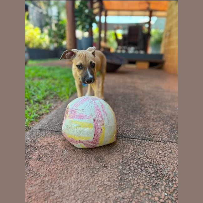 Photo of Kandy