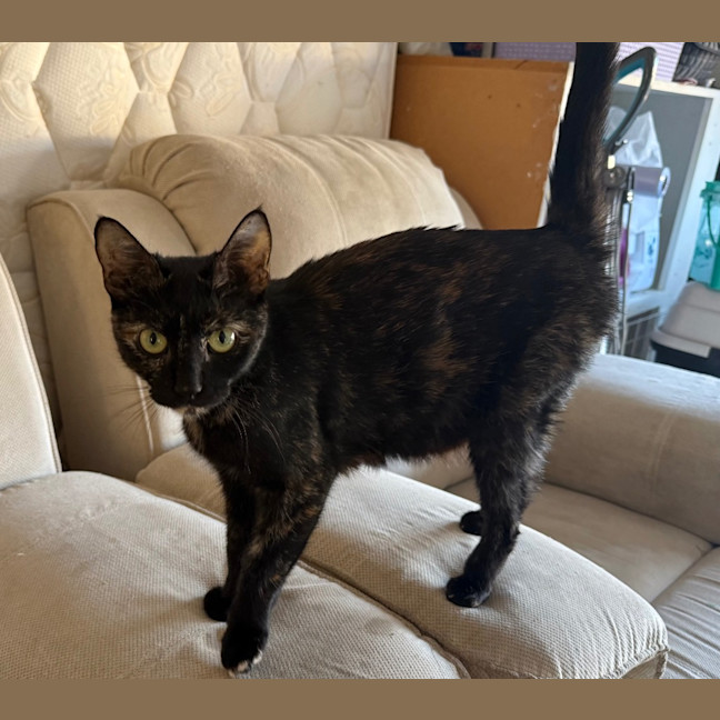 Photo of Madame Marissa Moo