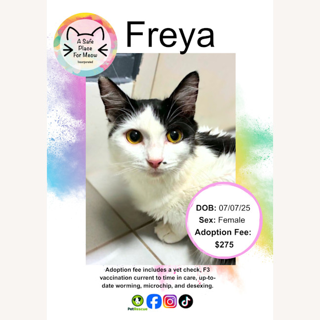 Photo of Freya