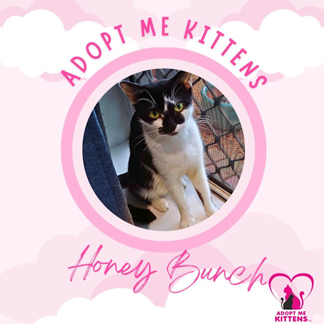 Photo of Honey Bunch