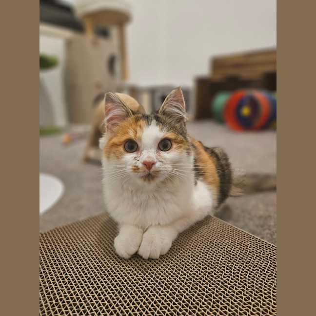Photo of Adeline