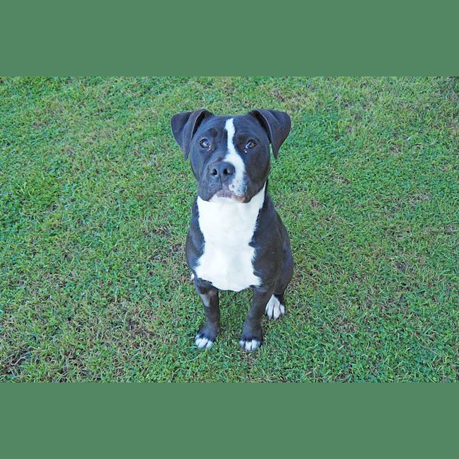 Photo of Diva