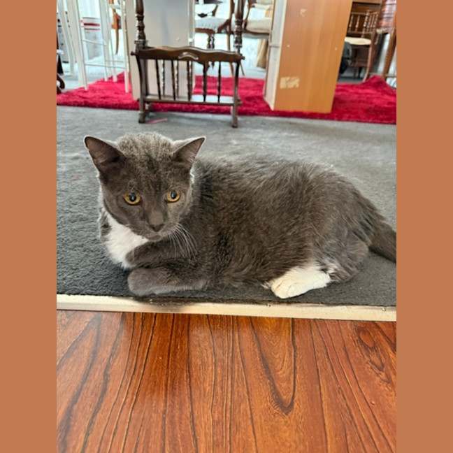 Photo of Timmy