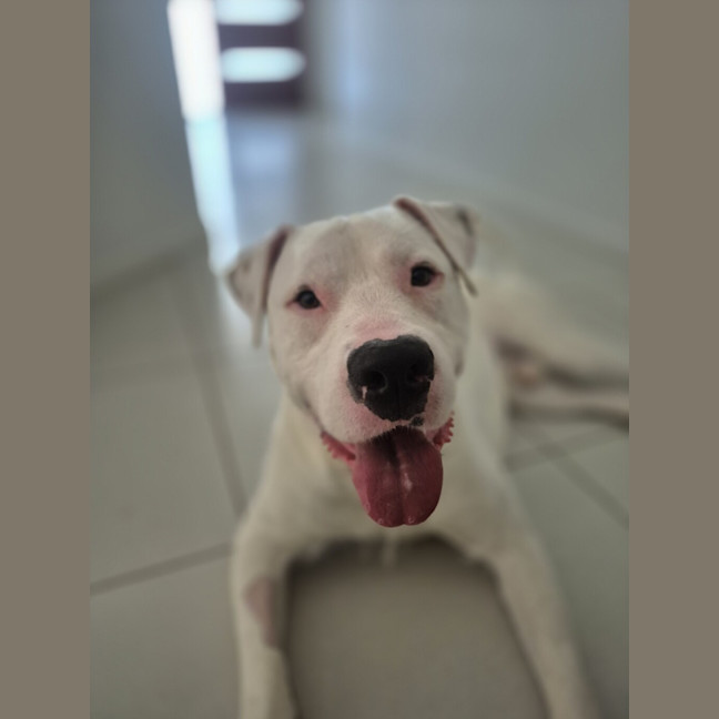 Photo of Ripley
