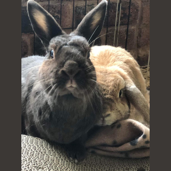 Photo of Fluffy (With Peter)