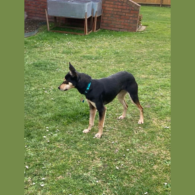 Photo of Toxi
