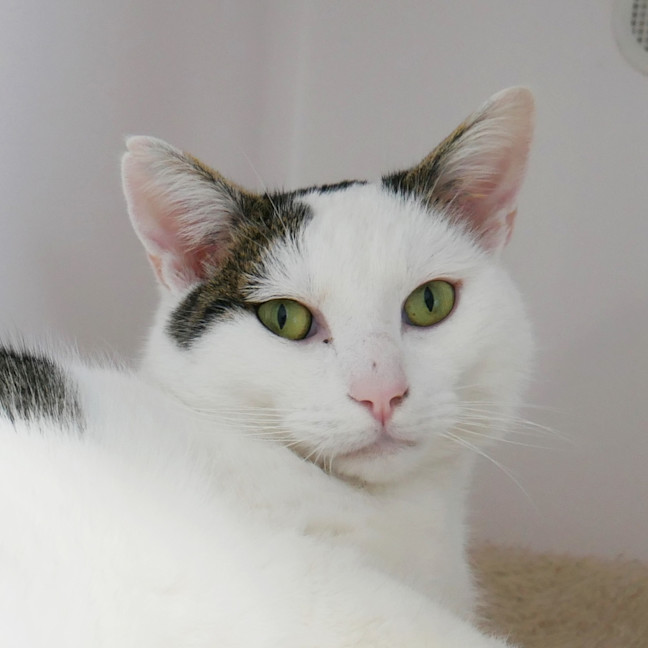 Photo of Woody Sta012912