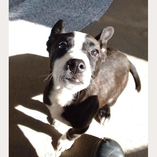 Photo of Luther