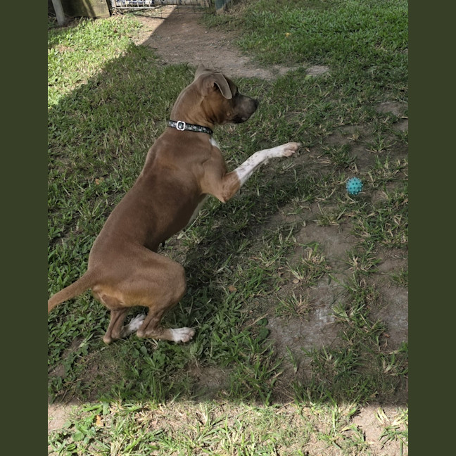 Photo of Stormi Rose