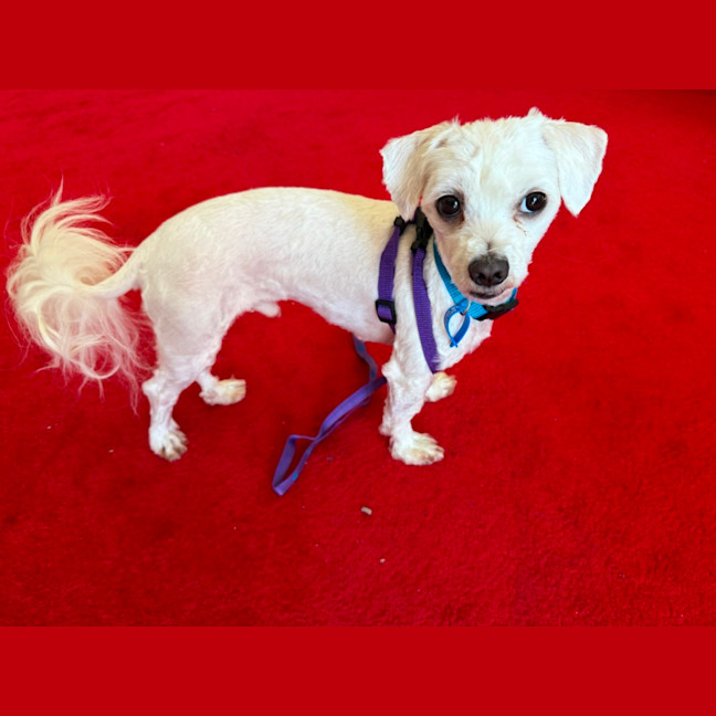 Photo of Benny