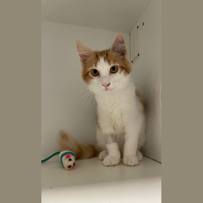 Photo of India & China