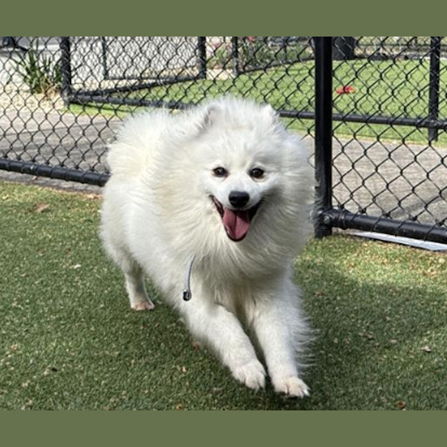 Photo of Powder