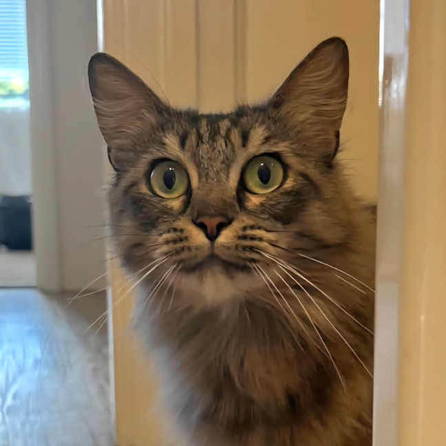 Photo of Lulu