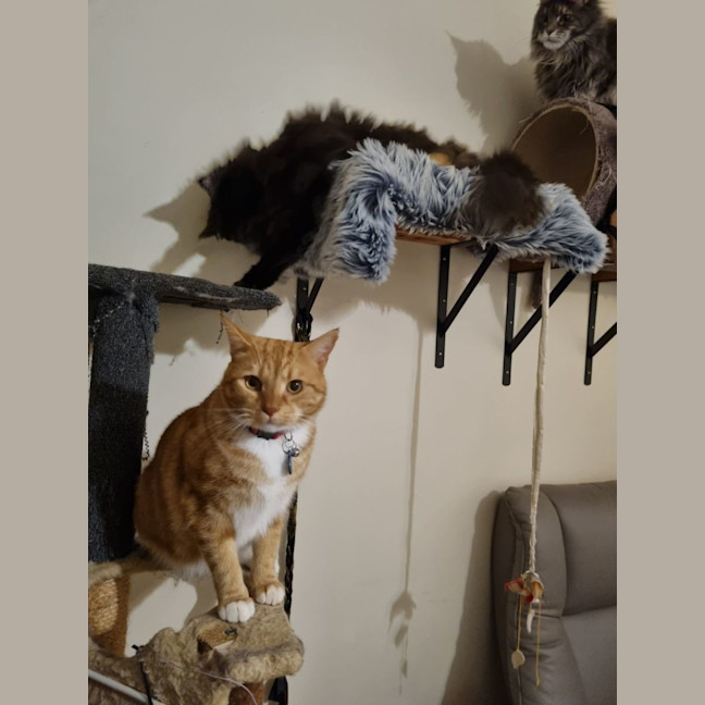 Photo of Jack And Sunny