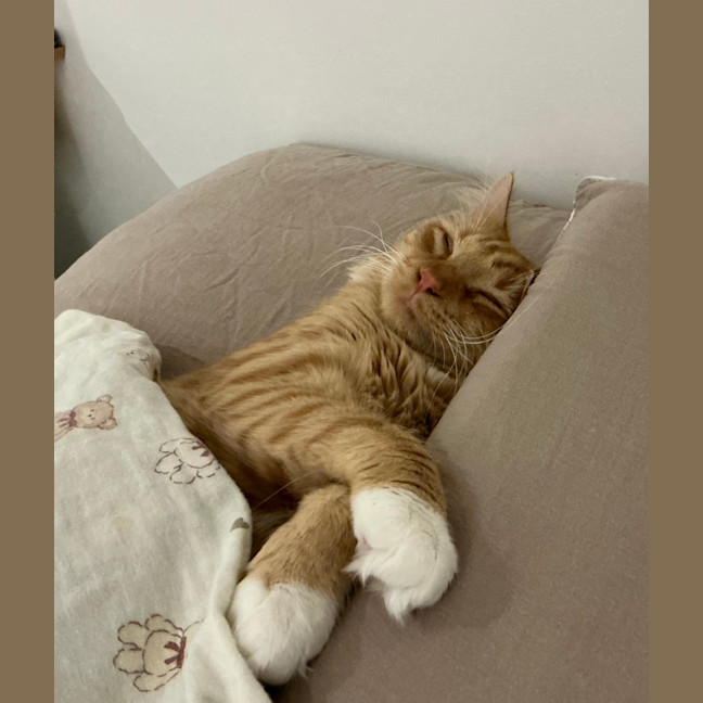 Photo of Wilbur