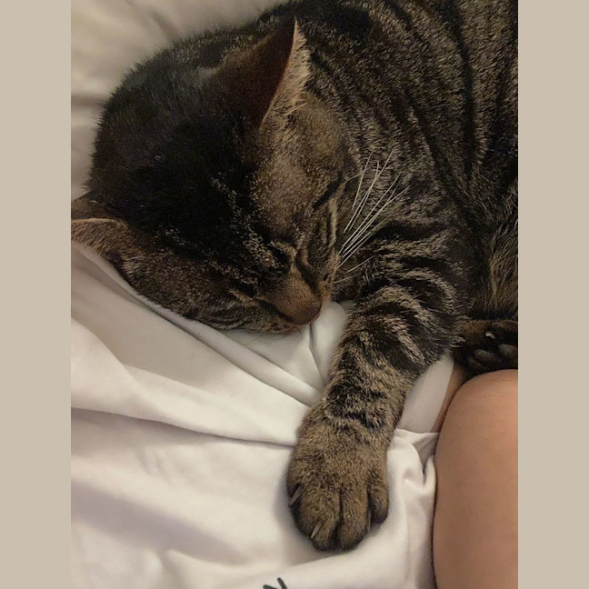 Photo of Bruce