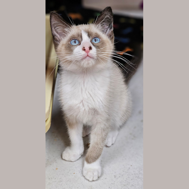 Photo of Spice