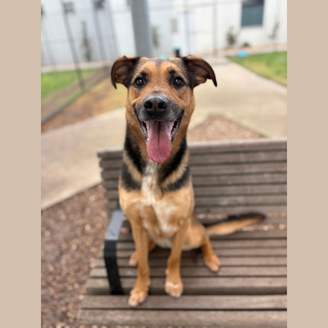 Photo of Ollie (Eddie)
