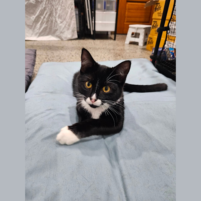 Photo of Daisy
