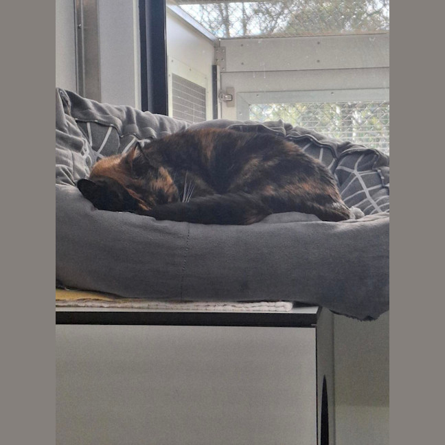 Photo of Mabel