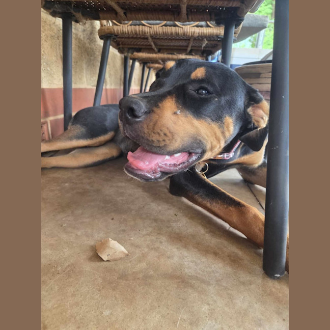 Photo of Carla