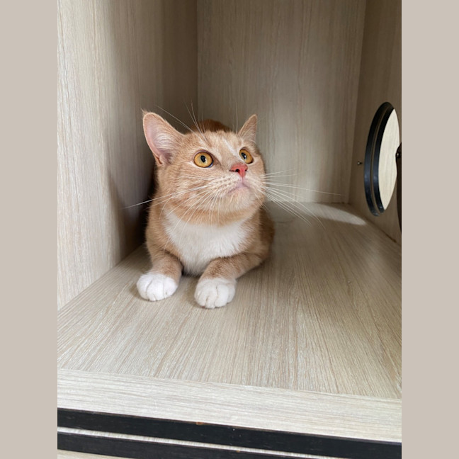 Photo of C1365 Jamie