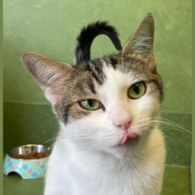 Photo of Princess Charlotte