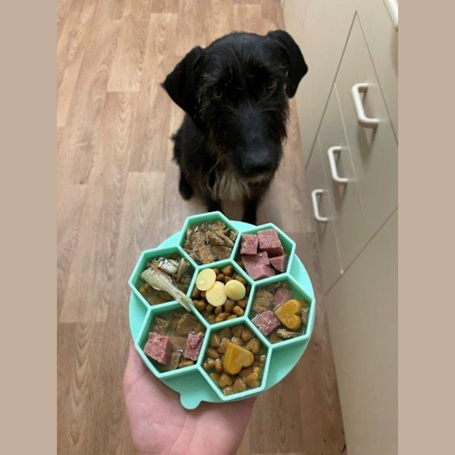 Photo of Roxy Peggotty