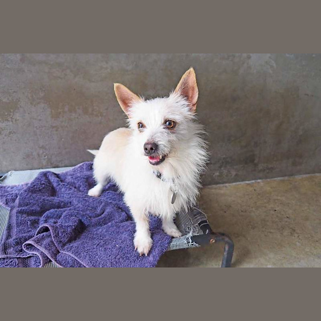 Photo of Winston