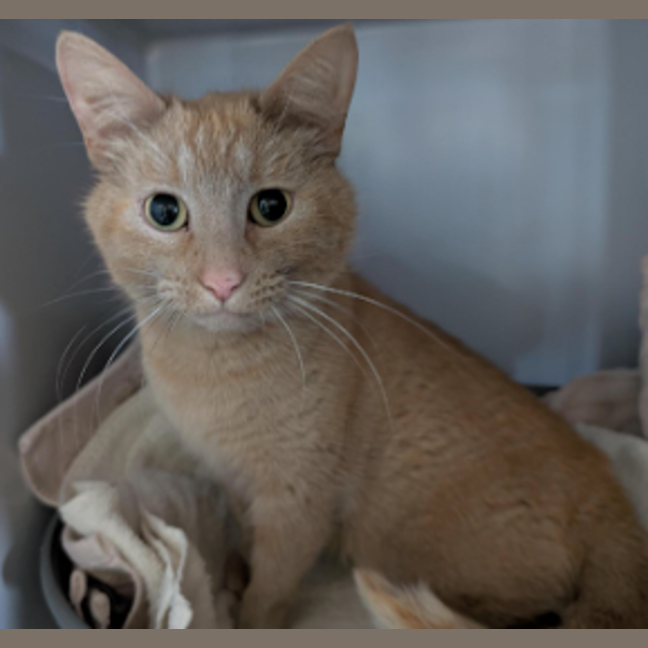 Photo of Miss Michael