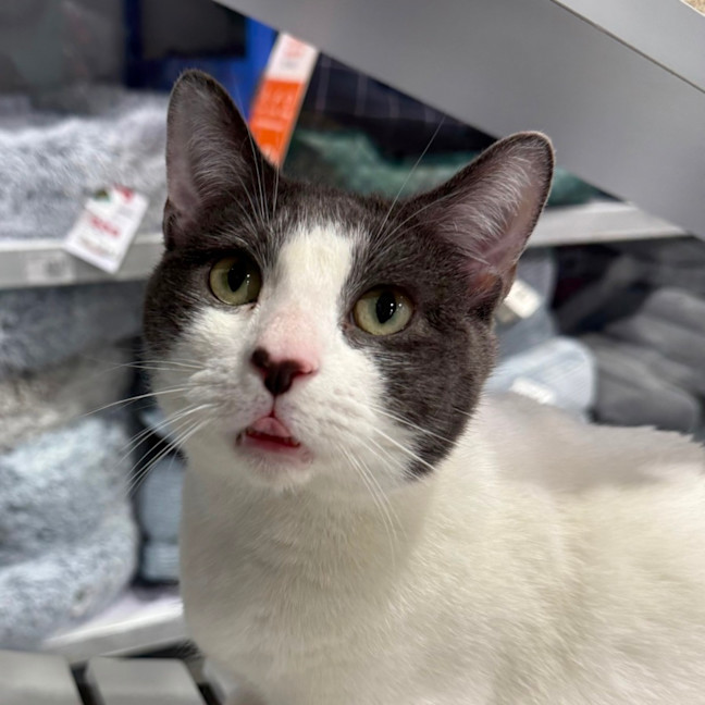 Photo of Pablo 🌟🌴