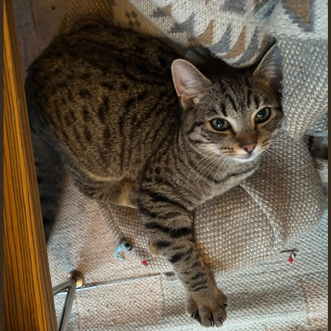 Photo of Boris