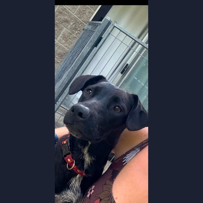Photo of Mia