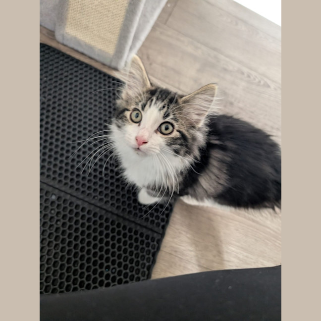 Photo of Charlie 