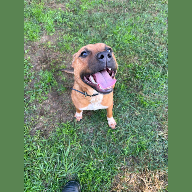 Photo of Lulu