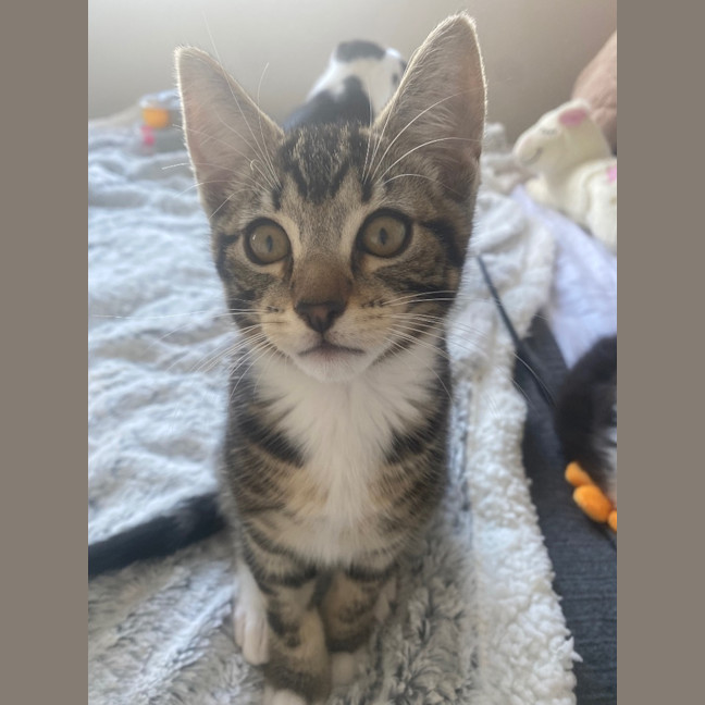 Photo of Tig Sanderson