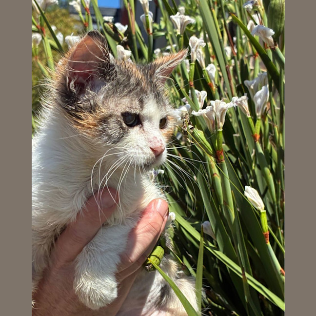 Photo of 🐾Aryna 🎾