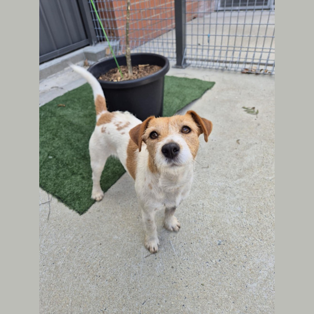 Photo of Aggie! 🌻