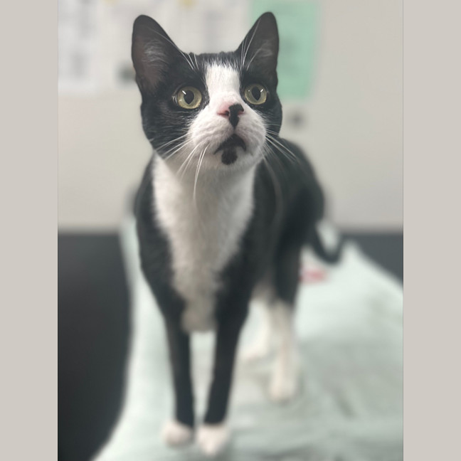 Photo of Ritchie