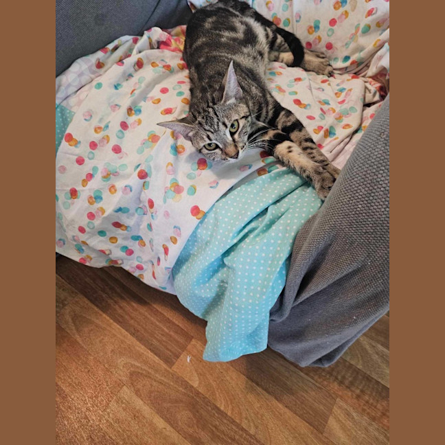 Photo of Susie