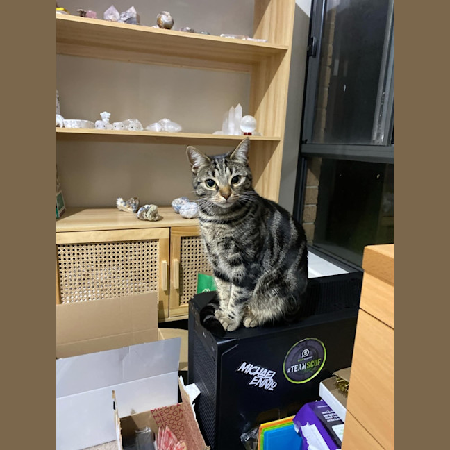 Photo of Maisie And Luna 